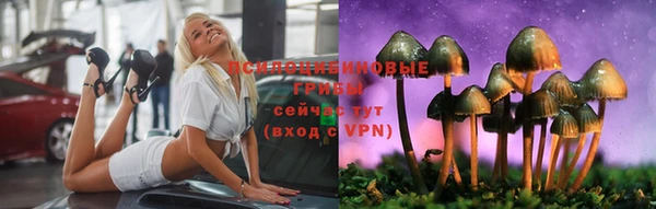 стаф Медвежьегорск