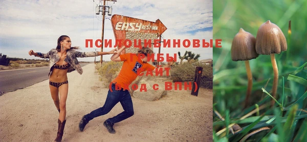 стаф Медвежьегорск