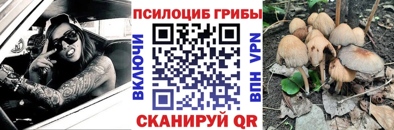 Купить закладки  Опочка  Галлюциногенные грибы MAGIC MUSHROOMS 